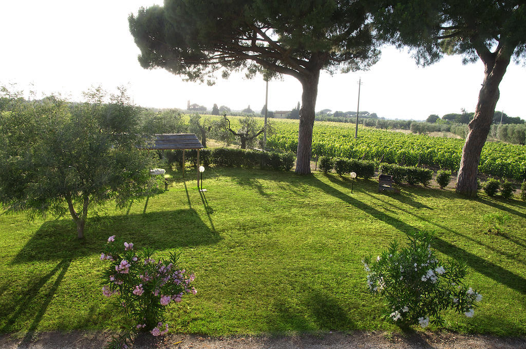 Agriturismo Quattro Pini Villa Castagneto Carducci Room photo