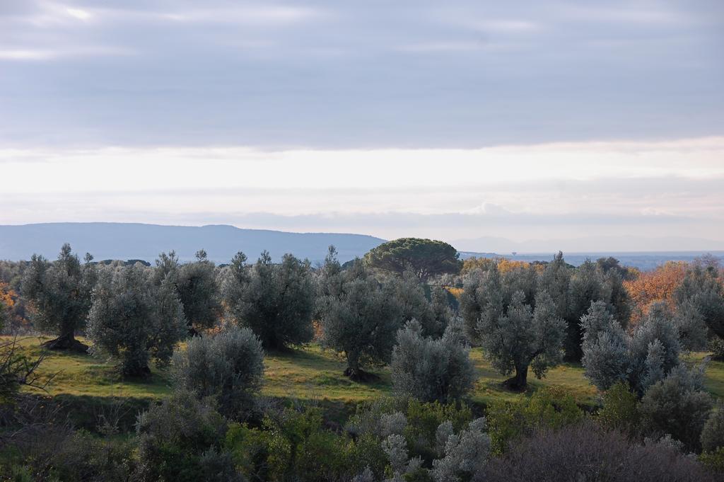 Agriturismo Quattro Pini Castagneto Carducci Exterior photo
