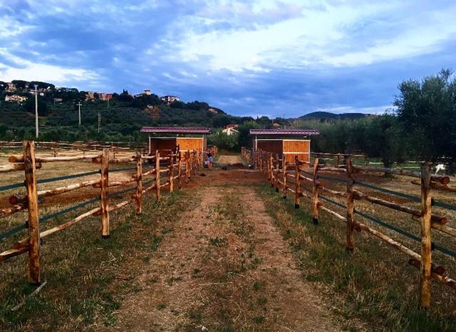 Agriturismo Quattro Pini Villa Castagneto Carducci Exterior photo